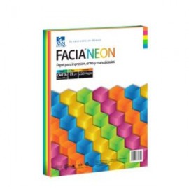 COP-PAP-NEON / A8738075011C0SC PAPEL FACIA NEON CARTA CON 250 HOJAS