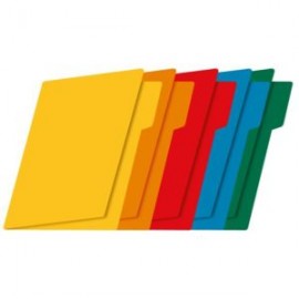 FTC-FOL-FF0388 / FF-0388 Fólder t. carta Arcoiris intenso c/25
