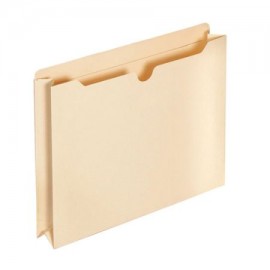 ESS-FOL-3043D10 / E3043DT10 FOLDER GLOBE-WEIS TIPO BOLSA CARTA
